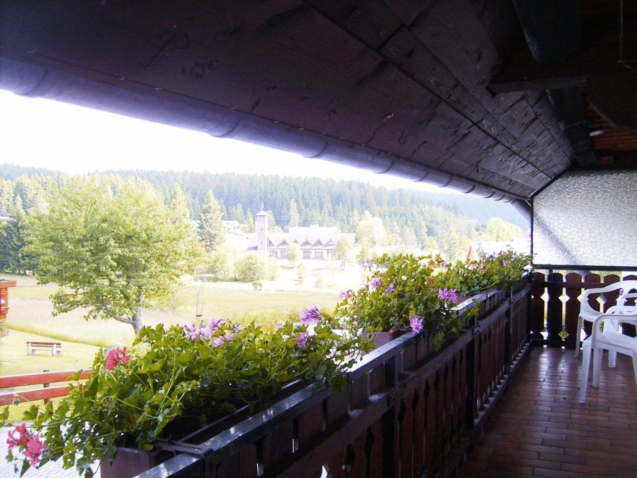 Wiesengrund Guest house 3*